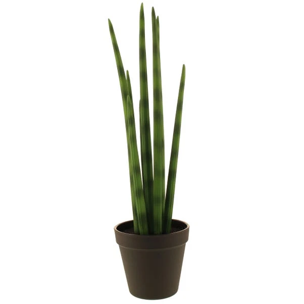 Dunelm Artificial Snake Plant In Black Pot 50cm 4 Dunelm Artificial Snake Plant In Black Pot 50cm - Image 4