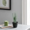 Dunelm Artificial Aloe Vera In Black Pot 24cm
