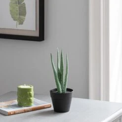 Dunelm Artificial Aloe Vera In Black Pot 24cm