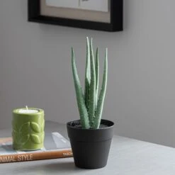 Dunelm Artificial Aloe Vera In Black Pot 24cm -Garden Decoration Craft 30752437 alt02