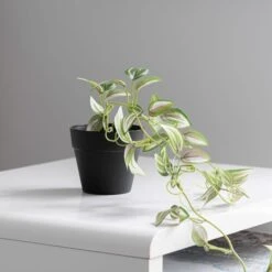 Dunelm Artificial Trailing Tradescantia In Black Pot 45cm -Garden Decoration Craft 30752440 alt02