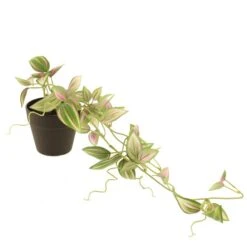 Dunelm Artificial Trailing Tradescantia In Black Pot 45cm -Garden Decoration Craft 30752440 alt03