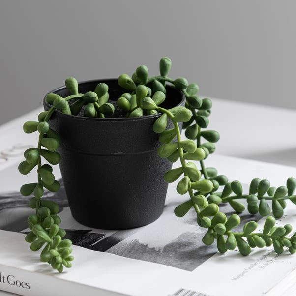 Dunelm Artificial Trailing String Of Pearls In Black Pot 2 Dunelm Artificial Trailing String Of Pearls In Black Pot - Image 2