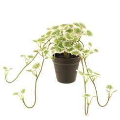 Dunelm Artificial Trailing Geranium In Pot 7 Dunelm Artificial Trailing Geranium In Pot -Garden Decoration Craft 30752444 alt03