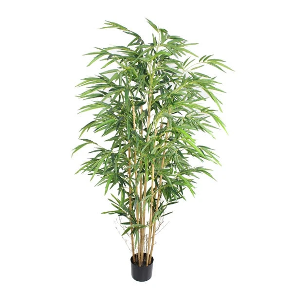 Dunelm Artificial Natural Bamboo Tree 180cm 5 Dunelm Artificial Natural Bamboo Tree 180cm - Image 5