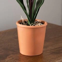 Dunelm Real Touch Cream Slipper Orchid 50cm -Garden Decoration Craft 30757832 alt02