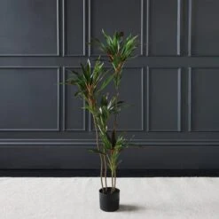 Scottish Everlastings Real Touch Red Dracaena 120cm