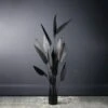 Scottish Everlastings Bird Of Paradise Tree Black 160cm
