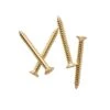 Dunelm Gold Door Knocker Screws