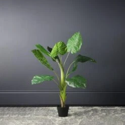 Scottish Everlastings Philo Tree 110cm