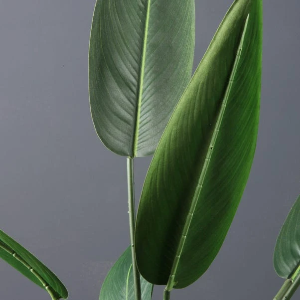 Scottish Everlastings Real Touch Bird Of Paradise 110cm 2 Scottish Everlastings Real Touch Bird Of Paradise 110cm - Image 2