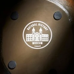 Natural History Museum Dodo Plant Pot -Garden Decoration Craft 30781920 alt03