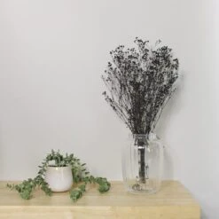 Dunelm Preserved Gypsophila Black Bundle 40g