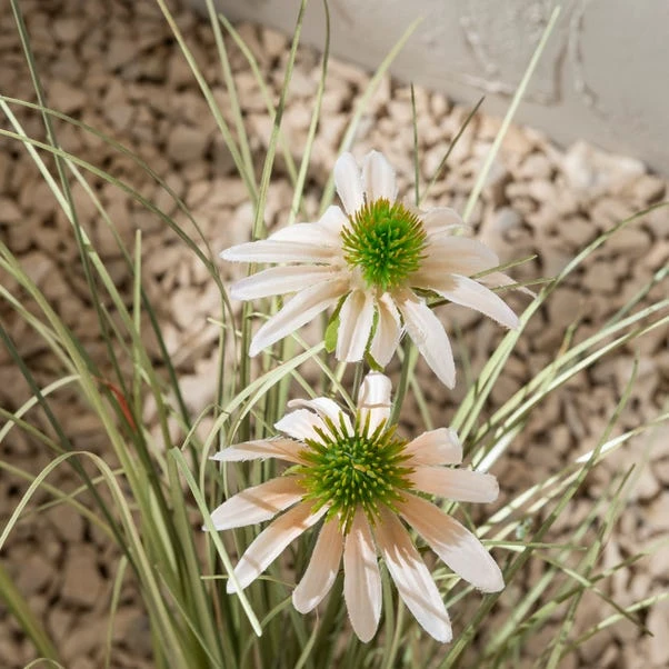 Dunelm Daisy And Grass In Pot 80cm 2 Dunelm Daisy And Grass In Pot 80cm - Image 2