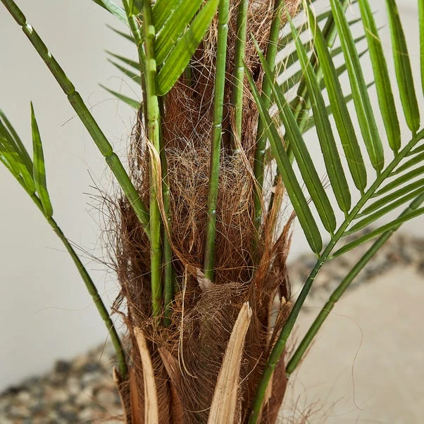 Dunelm Palm Tree 150cm 2 Dunelm Palm Tree 150cm - Image 2