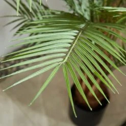 Dunelm Palm Tree 150cm 6 Dunelm Palm Tree 150cm -Garden Decoration Craft 30792526 alt02