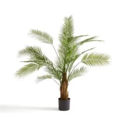 Dunelm Palm Tree 150cm 7 Dunelm Palm Tree 150cm -Garden Decoration Craft 30792526 alt03
