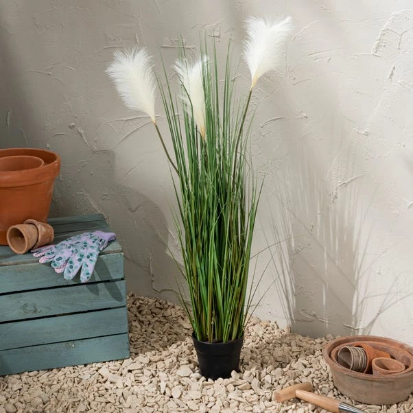 Dunelm Potted Pampas 100cm 1 Dunelm Potted Pampas 100cm