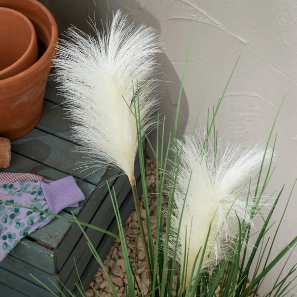 Dunelm Potted Pampas 100cm 2 Dunelm Potted Pampas 100cm - Image 2