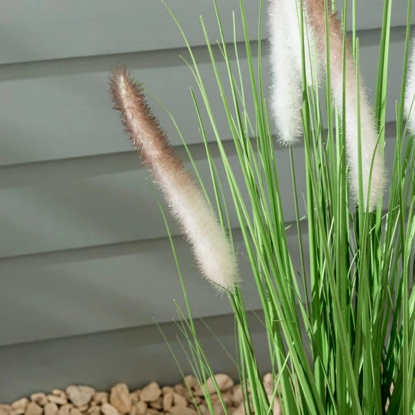 Dunelm Foxtail Potted Grass 80cm 2 Dunelm Foxtail Potted Grass 80cm - Image 2