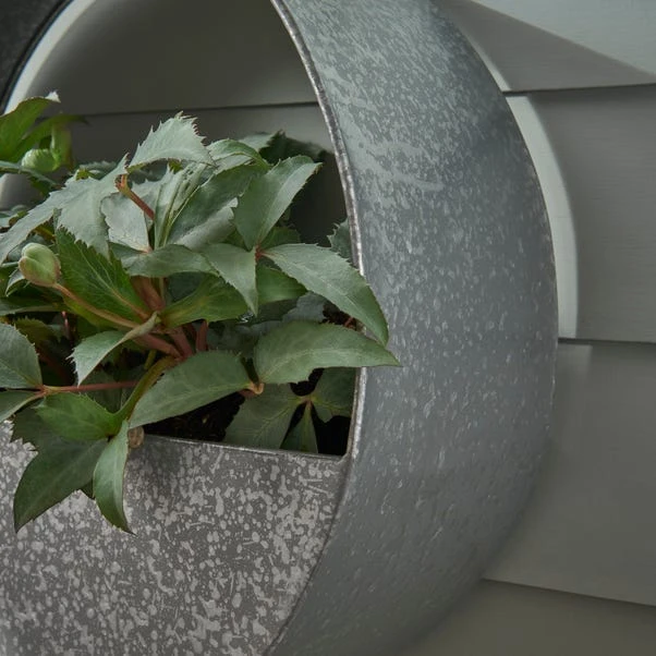 Dunelm Round Wall Planter Galvanised 2 Dunelm Round Wall Planter Galvanised - Image 2