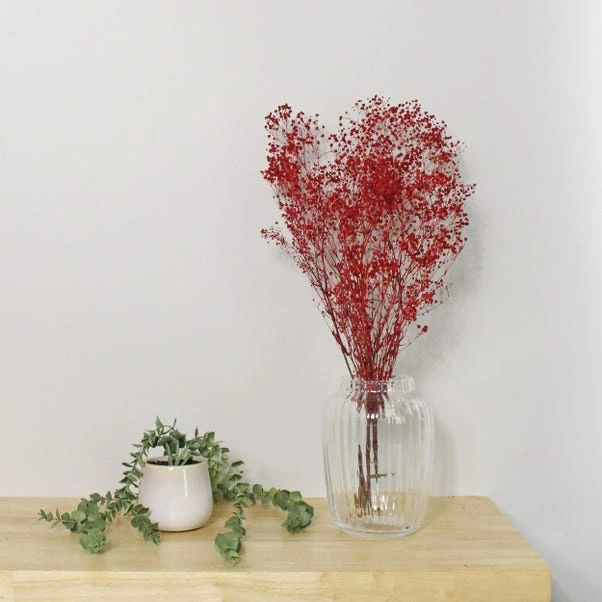 Dunelm Preserved Gypsophila Russet Bundle 40g 1 Dunelm Preserved Gypsophila Russet Bundle 40g