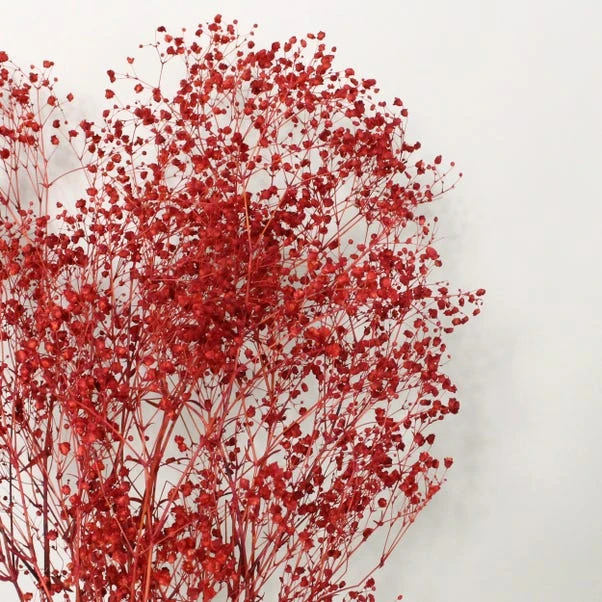 Dunelm Preserved Gypsophila Russet Bundle 40g 2 Dunelm Preserved Gypsophila Russet Bundle 40g - Image 2