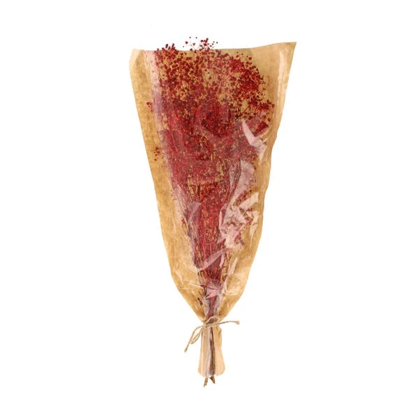 Dunelm Preserved Gypsophila Russet Bundle 40g 3 Dunelm Preserved Gypsophila Russet Bundle 40g - Image 3