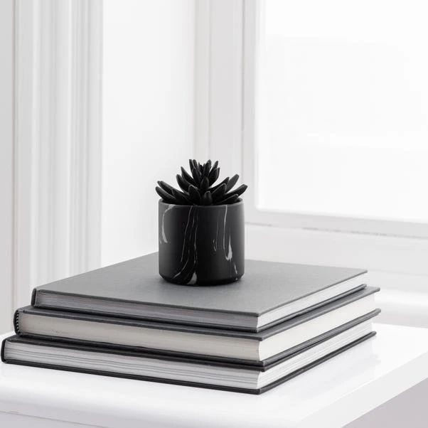 Dunelm Succulent In Black Marble Pot 1 Dunelm Succulent In Black Marble Pot