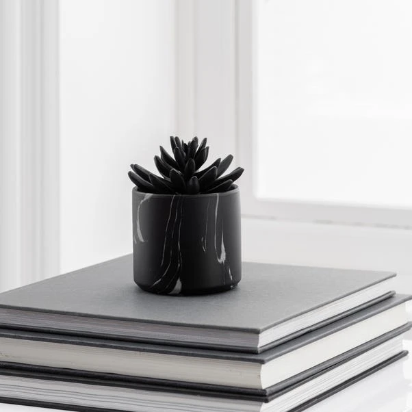 Dunelm Succulent In Black Marble Pot 2 Dunelm Succulent In Black Marble Pot - Image 2