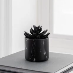 Dunelm Succulent In Black Marble Pot 5 Dunelm Succulent In Black Marble Pot -Garden Decoration Craft 30796700 alt02