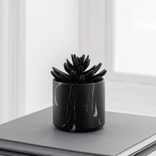 Dunelm Succulent In Black Marble Pot 3 Dunelm Succulent In Black Marble Pot - Image 3