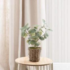 Dunelm Tabletop Eucalyptus Tree In Basket -Garden Decoration Craft 30796713 alt02
