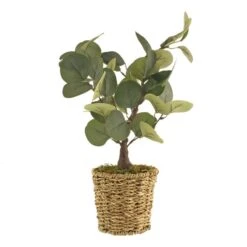 Dunelm Tabletop Eucalyptus Tree In Basket -Garden Decoration Craft 30796713 alt03