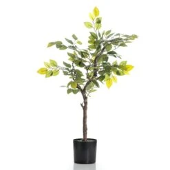 Scottish Everlastings 70cm Real Touch Mini Ficus Tree 5 Scottish Everlastings 70cm Real Touch Mini Ficus Tree -Garden Decoration Craft 30797232 alt02