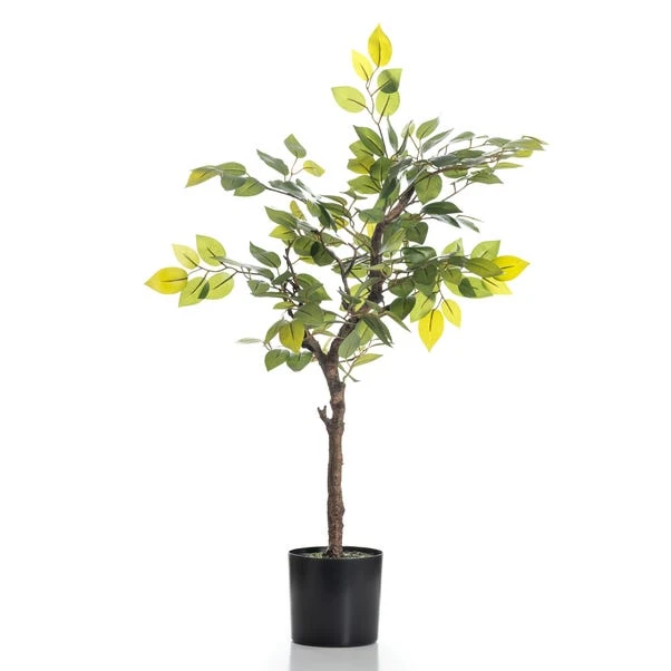 Scottish Everlastings 70cm Real Touch Mini Ficus Tree 3 Scottish Everlastings 70cm Real Touch Mini Ficus Tree - Image 3