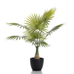 Scottish Everlastings 70cm Real Touch Fan Palm -Garden Decoration Craft 30797233 alt02