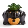 Dunelm Dachshund Dog Plant Pot